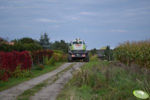 Claas Jaguar 860