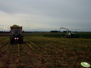 Claas Jaguar 870 + RU600 & Fendt 312 + Vennhuis