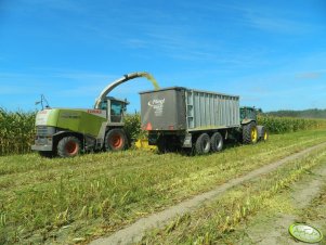 Claas Jaguar 870