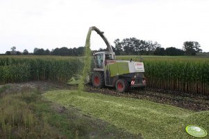 Claas Jaguar 870