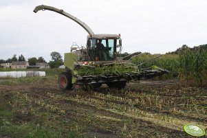 Claas Jaguar 870