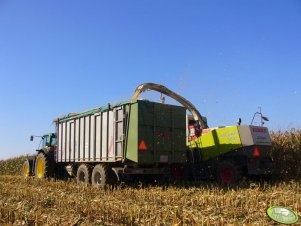 Claas Jaguar 900