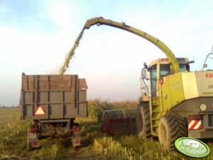 Claas Jaguar 900