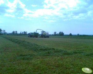 Claas Jaguar 950 & Ursus 1634+Pronar T683