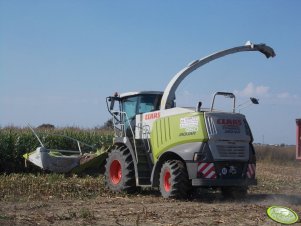 Claas Jaguar 950 