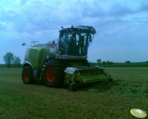 Claas Jaguar 950