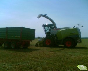 Claas Jaguar 950