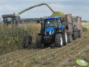 Claas Jaguar i New Holland