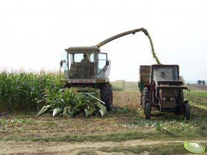 Claas Jaguar + MF 255