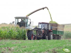 Claas Jaguar + MF 255