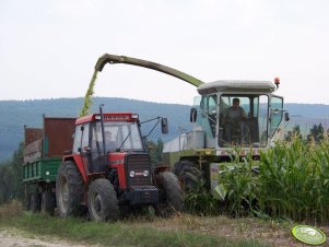 Claas Jaguar + Ursus 6014