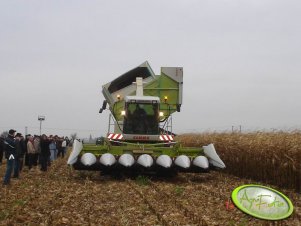 Claas Jaguar