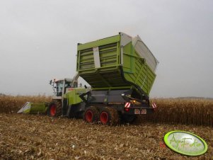 Claas Jaguar