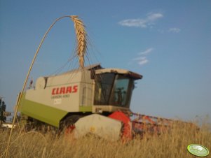 Claas Lexion 430