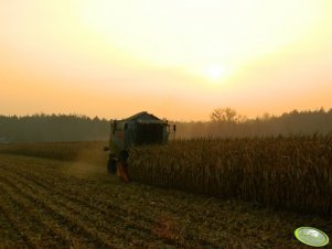 Claas Lexion 440 + Capello Quasar R6
