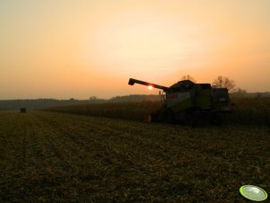 Claas Lexion 440 + Capello Quasar R6