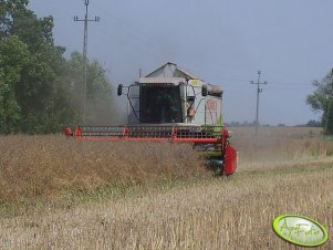 Claas Lexion 440