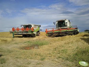 Claas Lexion 450 & Claas Lexion 540