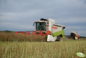 Claas Lexion 450 & New-Holland L626