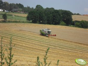 Claas Lexion 450