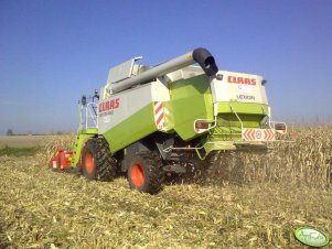 Claas Lexion 460 & Olimac Drago