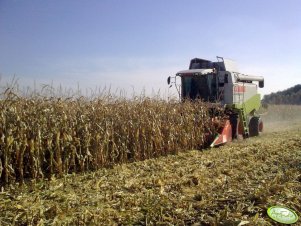 Claas Lexion 460 & Olimac Drago