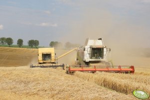 Claas Lexion 480 + Challenger 654