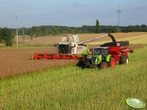 Claas Lexion 480, Claas Axion 810 + Horsch UW 160