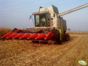 Claas Lexion 480 & Geringhoff