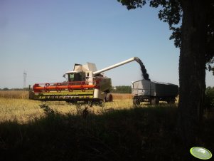 Claas Lexion 480