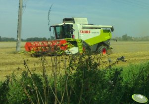 Claas Lexion 540 I C600