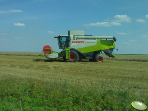 Claas Lexion 540 I C600