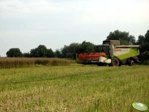 Claas Lexion 540