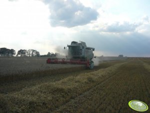 Claas Lexion 550