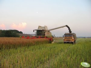 Claas Lexion 560 & Star