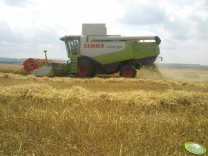 Claas Lexion 560