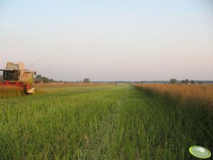 Claas Lexion 560