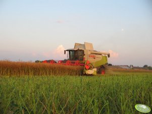 Claas Lexion 560