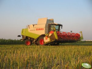 Claas Lexion 560