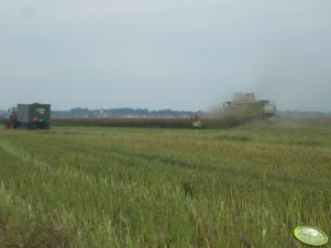 Claas Lexion 580 + Fendt 926 vario & Fiegl Gigant