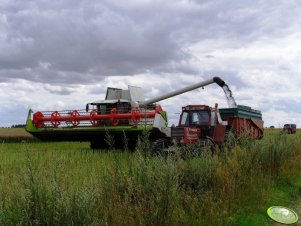 Claas Lexion 580 + Fiatagri