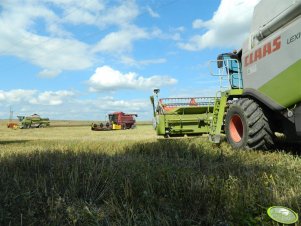 Claas Lexion 580, Mega 208