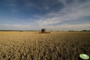 Claas Lexion 580