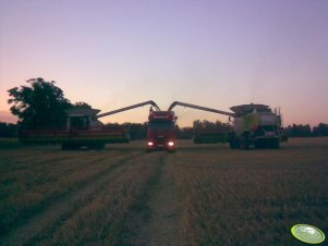 Claas Lexion 600 Terra Track