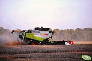 Claas Lexion 600 TT V12