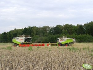 Claas Lexion 600 x2