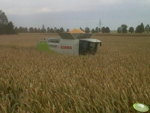 Claas Lexion 600