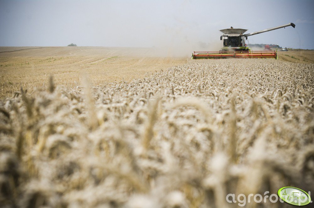 Claas Lexion 600 - Claas - Agrofoto.pl Forum Rolnicze i Galeria Rolnicza