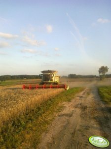 Claas Lexion 600 