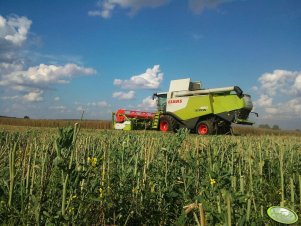 Claas Lexion 660